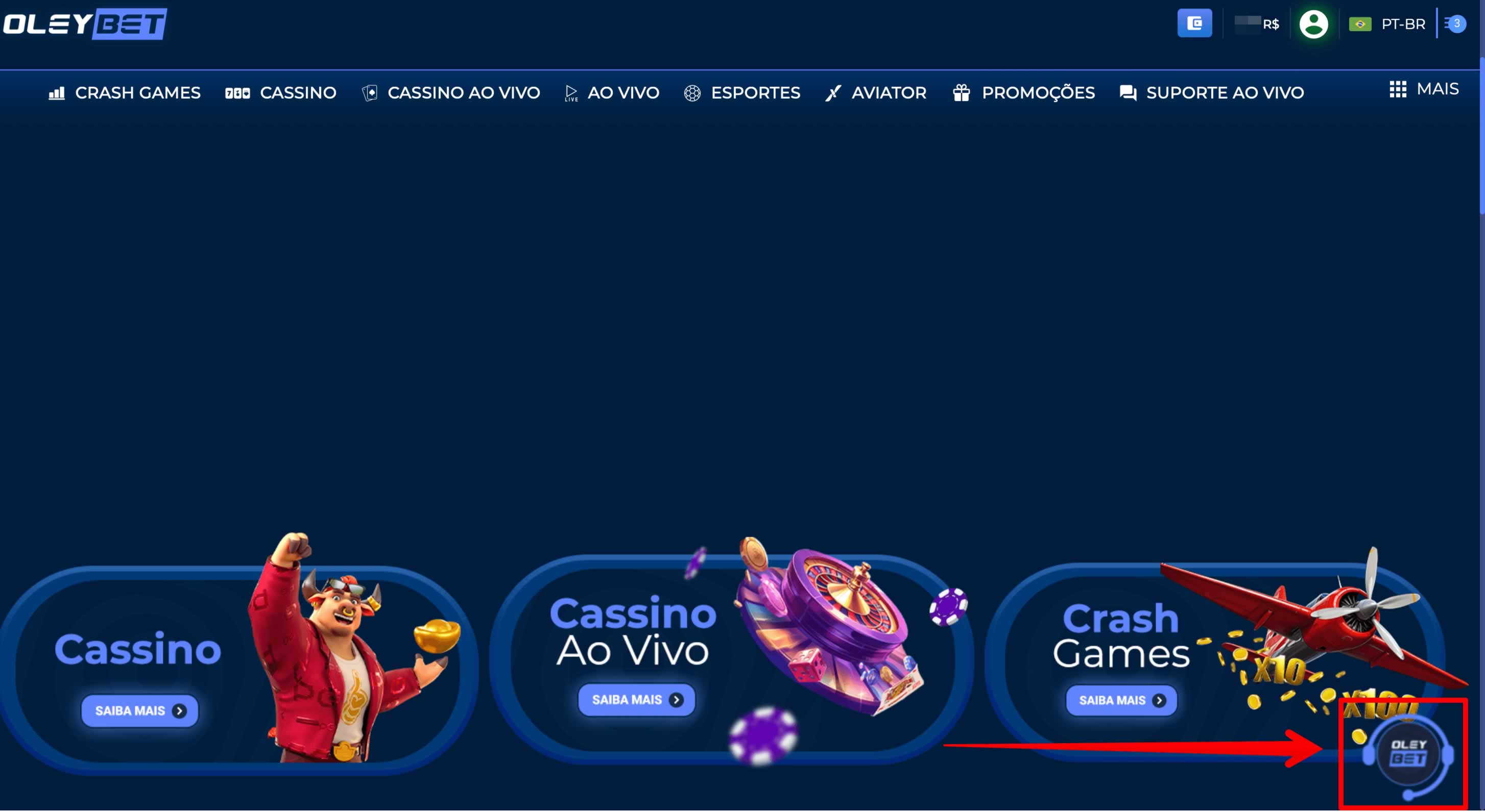 bravip top